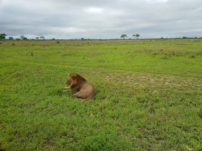 Mikumi National Park
