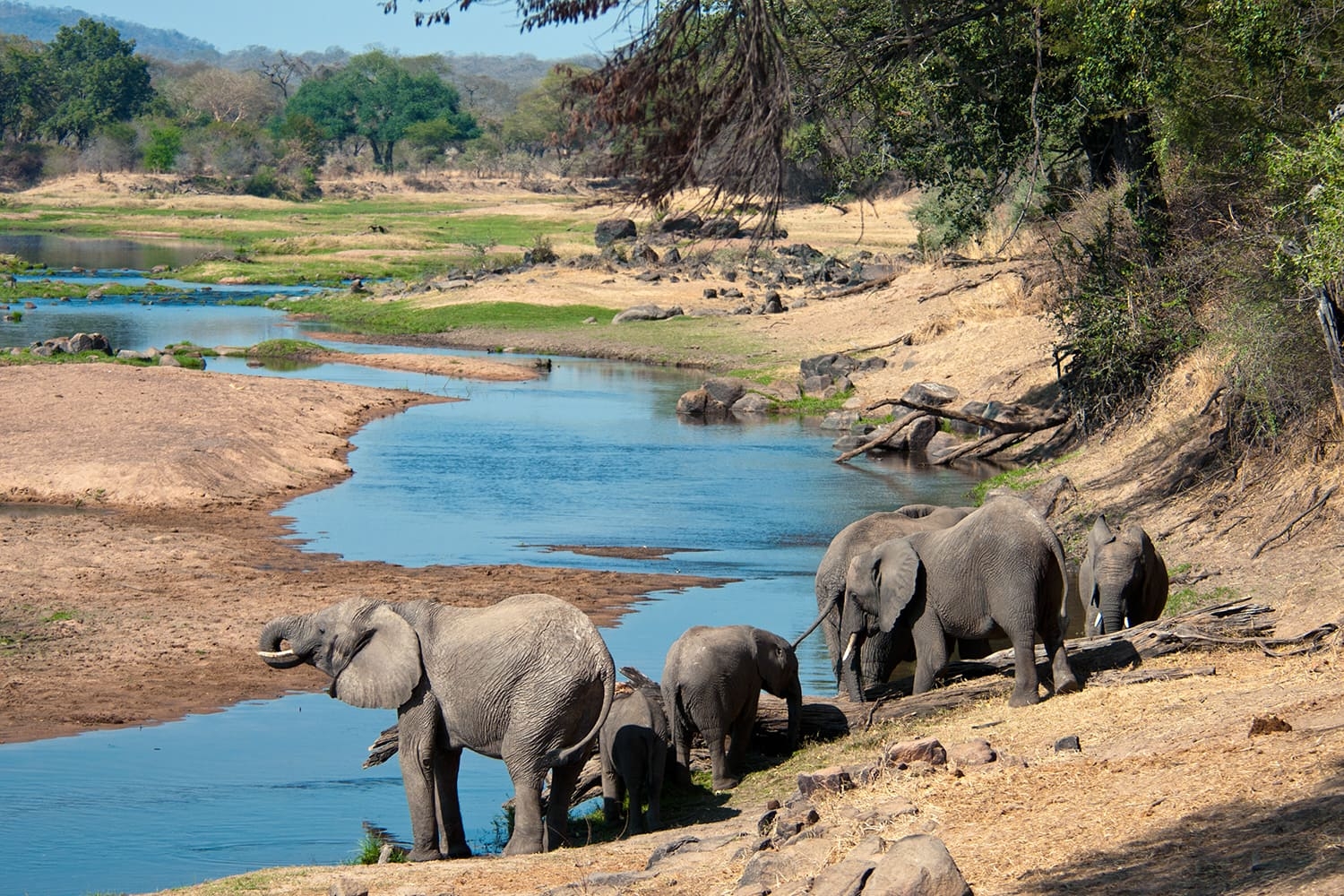 Great Ruaha River